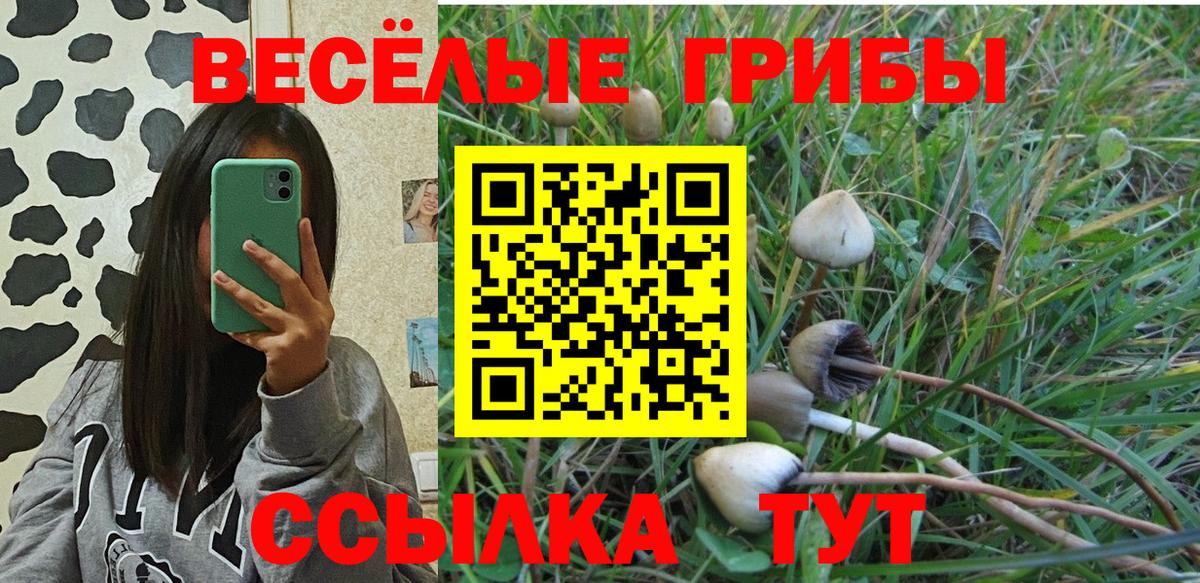 Галлюциногенные грибы Psilocybe  Вход с VPN  Псилоцибиновые грибы MAGIC MUSHROOMS  Кохма 