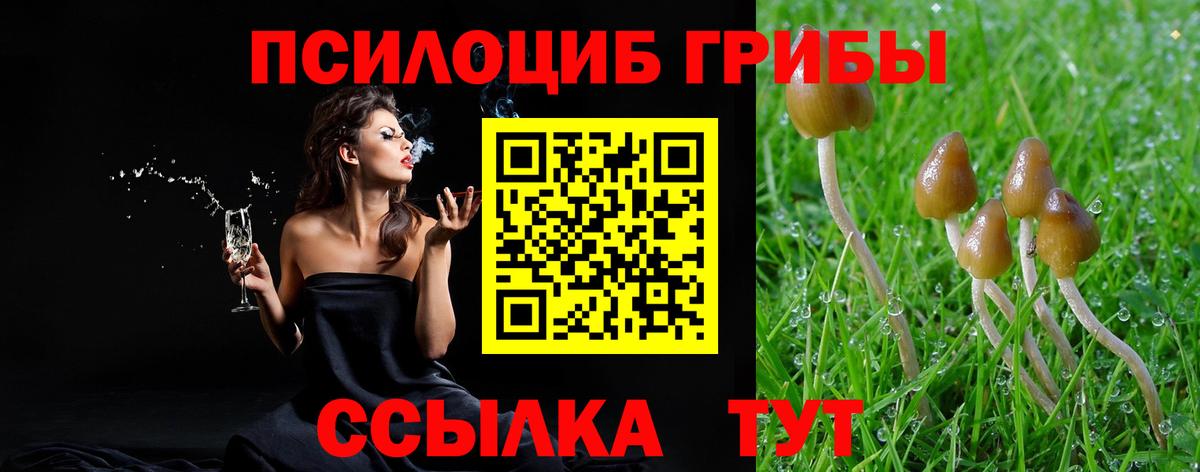 Галлюциногенные грибы ЛСД Кохма