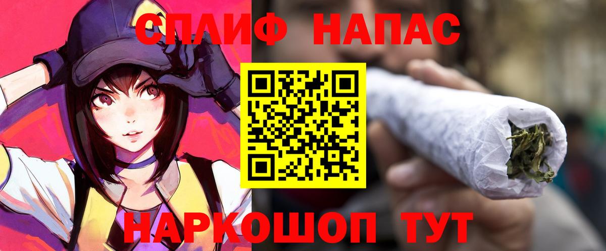 Канабис сатива Кохма
